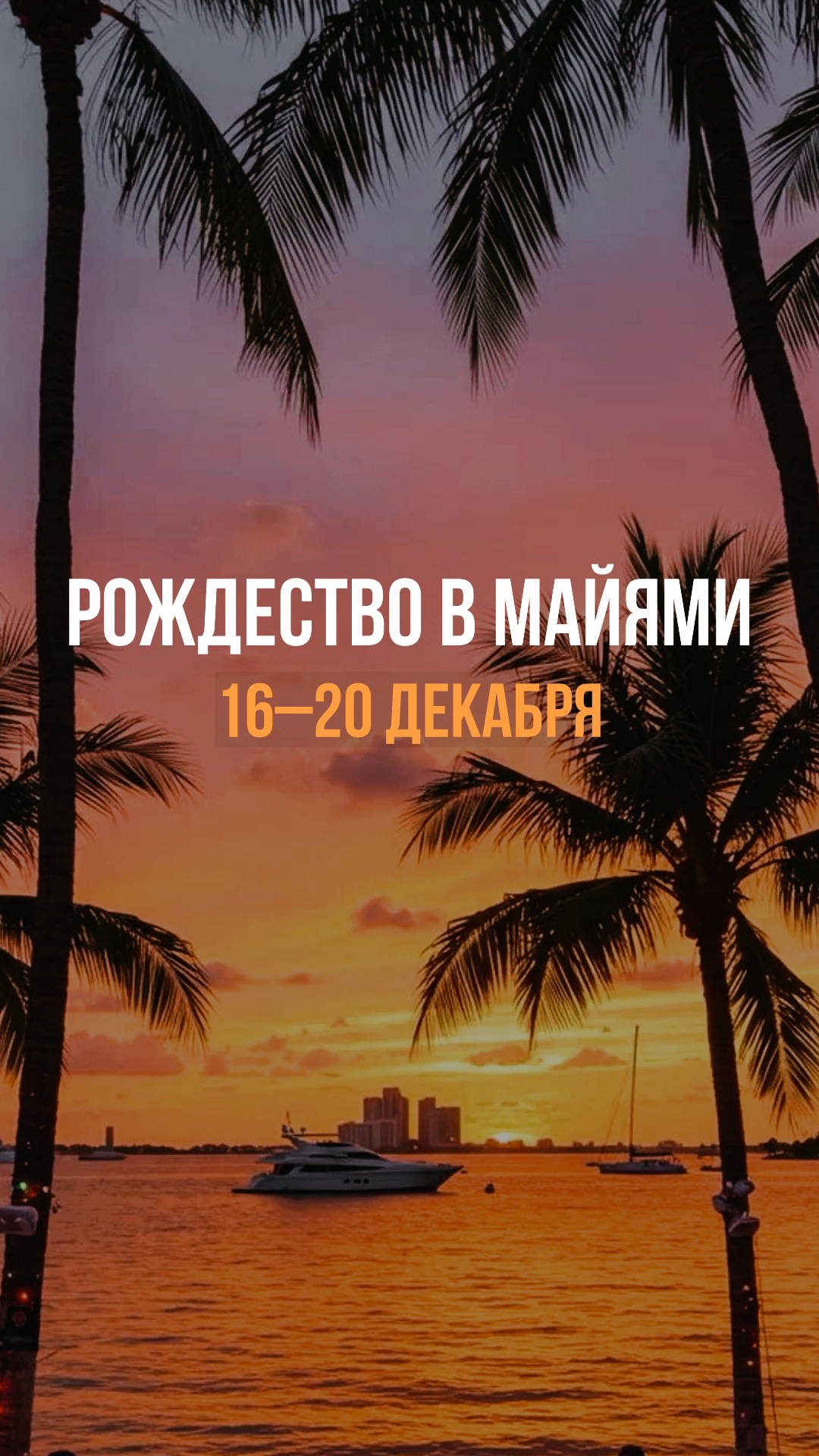 Рождество под пальмами — Майами, Флорида